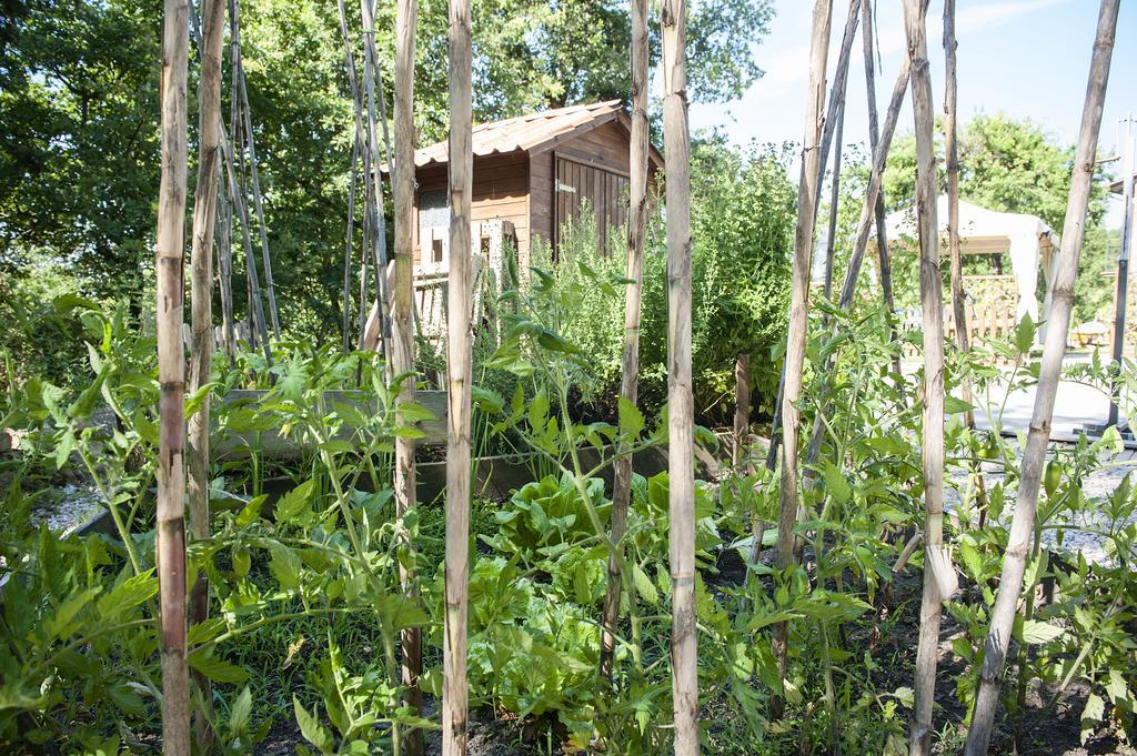 Il Casale Del Ra Guest House Tuoro sul Trasimeno Bagian luar foto